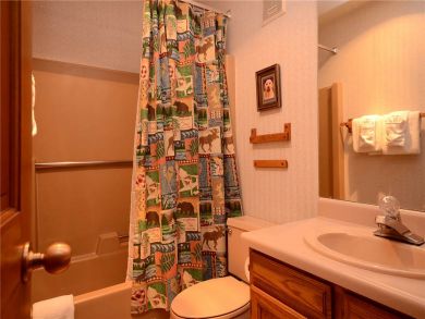 Steamboat Springs Home 927865 Steamboat Springs Home 927865