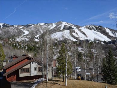 Steamboat Springs Home 927865 Steamboat Springs Home 927865