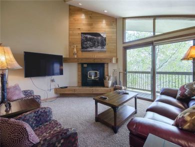 Steamboat Springs Home 927866