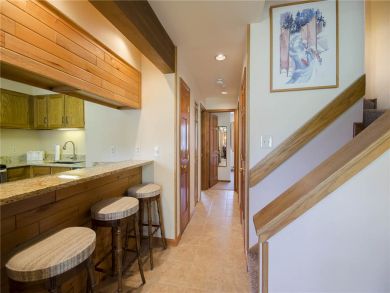 Steamboat Springs Home 927866