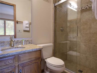 Steamboat Springs Home 927866
