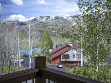 Steamboat Springs Home 927866
