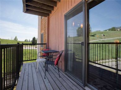 Steamboat Springs Home 927867