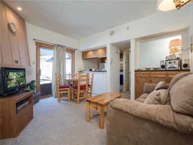 Steamboat Springs Home 927871 Steamboat Springs Home 927871