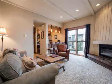 Steamboat Springs Home 927872