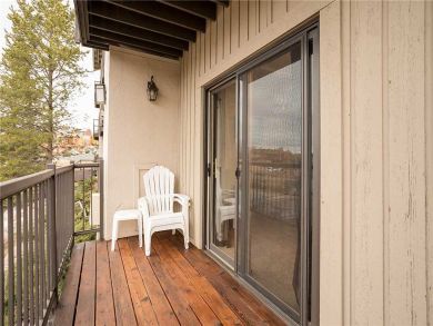 Steamboat Springs Home 927872