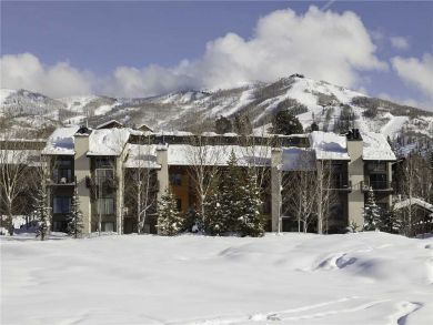 Steamboat Springs Home 927872