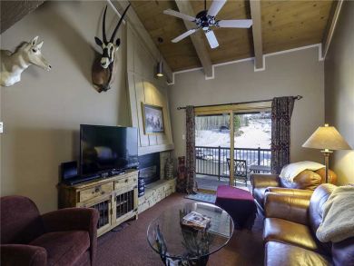 Steamboat Springs Home 927873