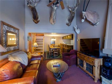 Steamboat Springs Home 927873
