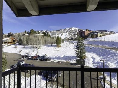 Steamboat Springs Home 927873