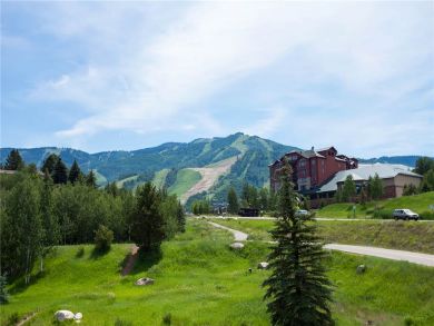 Steamboat Springs Home 927873