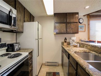 Steamboat Springs Home 927874