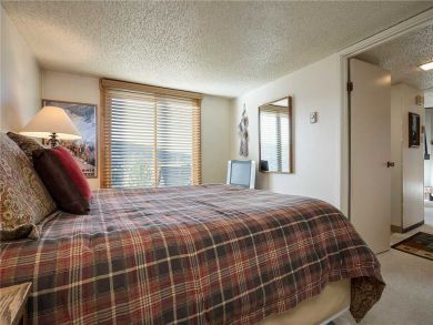 Steamboat Springs Home 927874