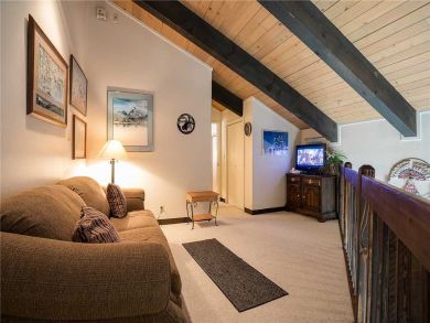 Steamboat Springs Home 927874