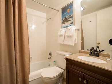 Steamboat Springs Home 927874