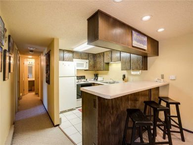 Steamboat Springs Home 927876