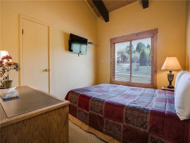 Steamboat Springs Home 927876