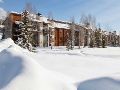 Steamboat Springs Home 927876