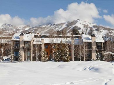 Steamboat Springs Home 927876