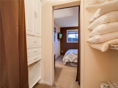Steamboat Springs Home 927877