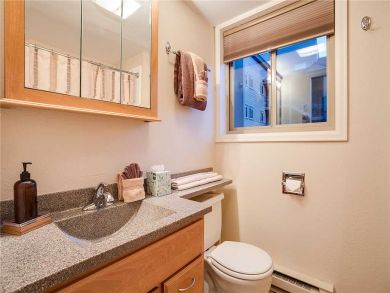 Steamboat Springs Home 927877