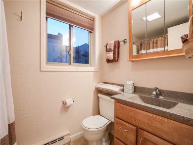 Steamboat Springs Home 927877