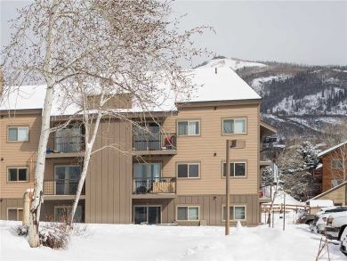 Steamboat Springs Home 927877