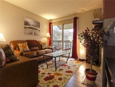 Steamboat Springs Home 927878