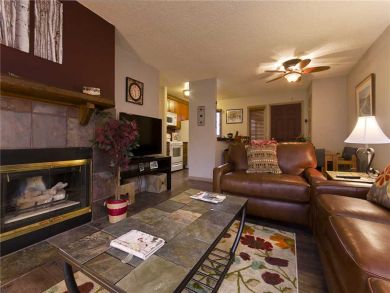 Steamboat Springs Home 927878