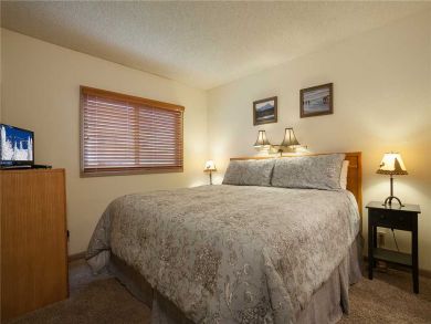 Steamboat Springs Home 927878