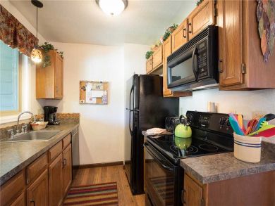 Steamboat Springs Home 927879