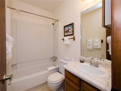 Steamboat Springs Home 927879