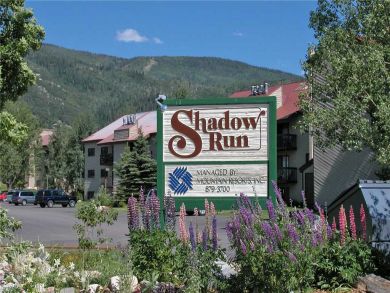 Steamboat Springs Home 927879