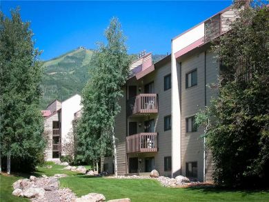 Steamboat Springs Home 927879