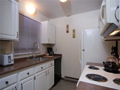 Steamboat Springs Home 927880
