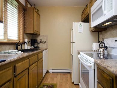 Steamboat Springs Condo 927882