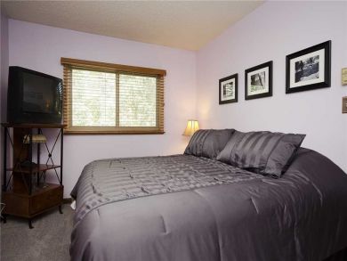Steamboat Springs Condo 927882