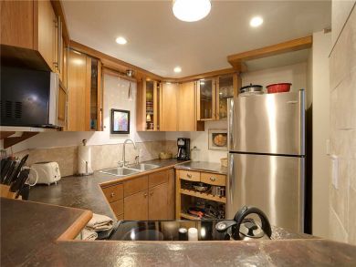Steamboat Springs Home 927884