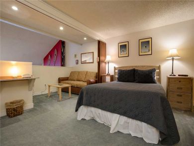 Steamboat Springs Home 927884