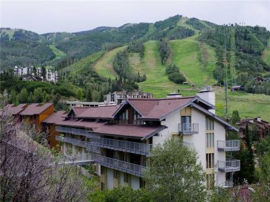 Steamboat Springs Home 927884