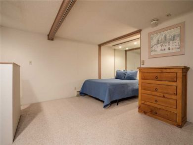 Steamboat Springs Home 927885 Steamboat Springs Home 927885