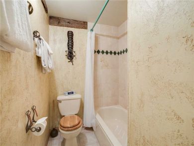 Steamboat Springs Home 927886