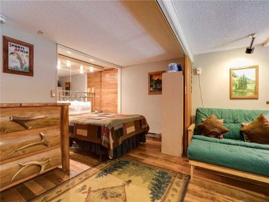 Steamboat Springs Home 927886