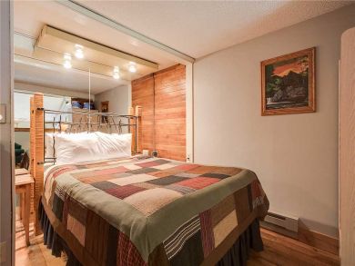Steamboat Springs Home 927886