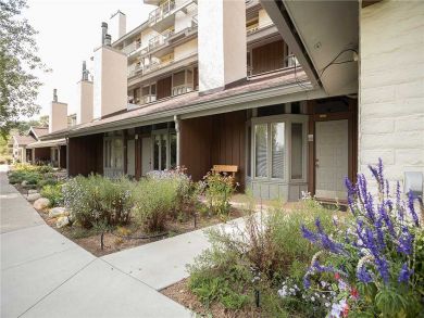 Steamboat Springs Home 927886