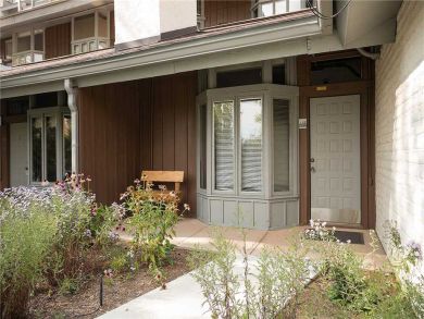 Steamboat Springs Home 927886