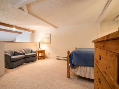 Steamboat Springs Home 927887 Steamboat Springs Home 927887