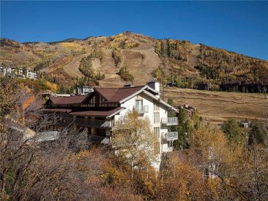 Steamboat Springs Home 927887 Steamboat Springs Home 927887