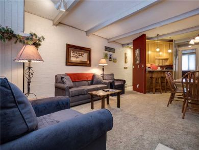 Steamboat Springs Home 927890 Steamboat Springs Home 927890