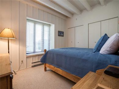 Steamboat Springs Home 927891